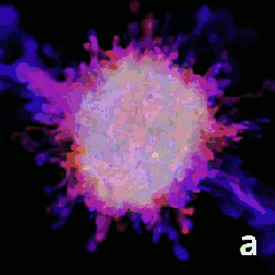 Asymmetries in simulation and observation: Comparison of a 3D core-collapse supernova model (a) with the 330-year-old supernova remnant Cassiopeia A (b) in our Galaxy. The observed asymmetries in the remnant phase can be traced back to the earliest phases of the explosion <em>(Credit: a) Nicolay J. Hammer, H.-T. Janka, E. Müller (MPA), Markus Rampp (RZG), b) NASA/CXC/SAO).</em>