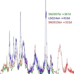 Supernovae are extremely bright stellar explosions – superluminous supernovae are even brighter. In a new study, MPA researchers present their simulations of superluminous supernova spectra months and even years after the outbreak and show that they are very similar to gamma-ray bursts, another type of highly energetic explosions. In addition, the results point to very high masses of oxygen and magnesium, suggesting very massive progenitor stars.