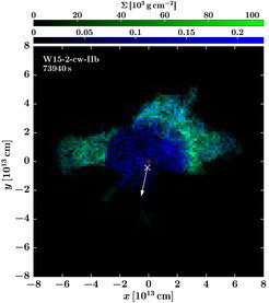<p>Fig. 2b:</p>
<p>Observable radioactive nickel (56Ni, green) and titanium (44Ti, blue) as predicted by the 3D simulation of a neutrino-driven supernova explosion shown in Fig. 1. The orientation is optimized for closest possible similarity to the Cas A image of Fig. 2a. The neutron star is marked by a white cross and shifted away from the centre of the explosion (red plus symbol) because of its kick velocity. The neutron star motion points away from the hemisphere that contains most of the ejected 44Ti. Iron (the decay product of Ni56) can be observed only in an outer, hot shell of Cas A.</p>