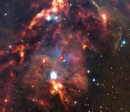 11683 1511775504
