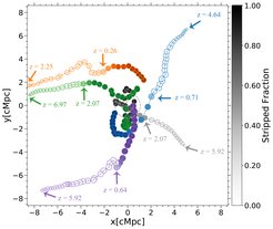 Fig. 3) Illustration of gas stripping in L-GALAXIES with five sample galaxies in the vicinity of a massive cluster. Each colour corresponds to a galaxy, and different circles of the same colour demonstrate the evolution of that galaxy at different redshifts starting with small open circles to larger filled circles. The size of each circle represents, qualitatively, the galaxy's stellar mass. Shown by the colourbar, the transparency of colours denotes the fraction of the gas stripped. The formation redshifts, and the redshifts at which each galaxy starts to be significantly stripped, are indicated by arrows.