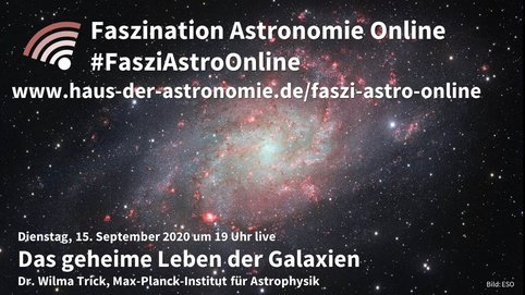Die Milchstraße ist unsere Heimatgalaxie, in der auch unser Sonnensystem liegt, und sie gehört zu den hundert Milliarden Galaxien, die das ganze Universum bevölkern. Es gibt Spiralgalaxien, riesige elliptische Galaxien, wolkenartige Zwerggalaxien, und Galaxien, die umeinander herumtanzen und miteinander verschmelzen. Woher kommen all diese Galaxien? Warum sehen sie aus, wie sie aussehen? In den letzten Jahrzehnten haben sich Astrophysiker*innen als Weltraumdetektiv*innen betätigt und Indizien gesammelt, um den Tathergang der Galaxienentstehung und -entwicklung besser zu verstehen.
