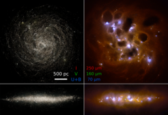 Fig 1: Color composite mock images of a simulated gas-rich dwarf galaxy, with face-on (top) and edge-on (bottom) projections. The left images show the galaxy in visual bands (I=red, V=green, U+B=blue), the right images at infrared wavelenths. The visual bands show direct, scattered and attenuated stellar light, while the infrared bands show stellar emission that is absorbed and re-emitted by dust in the ISM. The blue regions are illuminated by young star clusters that can be seen as concentrations of visual light in the left images.