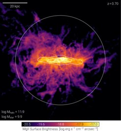 Abbildung 2: Karte der Oberflächenhelligkeit der MgII-Emission um eine sternbildende Galaxie, simuliert in TNG50 (Nelson et al. 2021). Die ausgedehnte Emission der Galaxie in das zirkumgalaktische Medium in Entfernungen von ∼ 10 - 20 kpc, mit einer komplexen Morphologie, ist leicht zu erkennen.