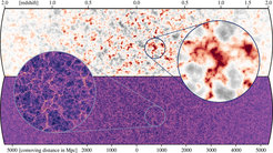 Abbildung 2:Vergleich der Verteilungen von Neutrinos (oben) und Dunkler Materie (unten) auf dem rückwärts gerichteten Lichtkegel eines Beobachters, der sich in der Mitte der beiden horizontalen Streifen befindet. Da die kosmische Ausdehnung die Neutrinos zu späten Zeiten verlangsamt (kleine Rotverschiebung/Entfernung), beginnen sie sich ein wenig um die größten Konzentrationen Dunkler Materie zu sammeln, wie ein Vergleich der beiden Zooms zeigt. Dies erhöht geringfügig die Masse und die weitere Wachstumsrate dieser größten Strukturen.
