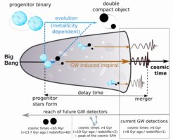 Black hole/neutron star mergers observed with gravitational waves originate from massive stars that formed at different times, in different environments and with different abundance of elements heavier than helium (metallicity). Even the locally observed population (probed with current detectors) may contain systems whose progenitors formed very early in the Universe. Future detectors will allow mapping the properties of black hole/neutron star mergers across the cosmic history.