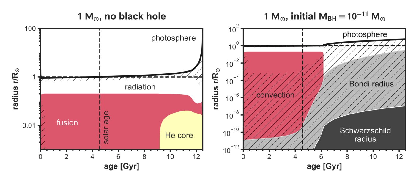 These two diagrams show the radial evolution of a star with the mass of the Sun without (left) and with (right) a black hole with an initial mass similar to an asteroid. The black solid line shows the radius of the photosphere, the vertical dashed line the current age of the Sun. The red region shows where hydrogen is converted to helium in nuclear fusion, which provides the bulk of the solar luminosity until the black hole starts to grow noticeably (black region; for lower ages the black hole is too small to be seen in this plot). The black hole drives convection (hatches), which mixes the innermost parts of the star. Note the different scaling of the y-axes.