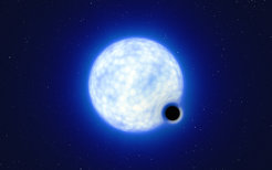 This artist’s impression shows what the binary system VFTS 243 located in the Tarantula Nebula in the Large Magellanic Cloud might look like if we were observing it up close. The sizes of the two binary components are not to scale: in reality, the blue star is about 200 000 times larger than the black hole. Note that the 'lensing' effect around the black hole is shown for illustration purposes only, to make this dark object more noticeable in the image.
