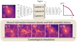 Figure 1 | A neural network is trained to discover the underlying degrees of freedom in halo density profiles within a low-dimensional latent representation, when presented with the full 3D density structure of a halo at the present-day time (z=0). We physically interpret the discovered representation in terms of the halo’s evolution history by measuring the mutual information (MI) between the latent parameters and the assembly history of the halos.