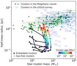 This figure shows the time evolution of the size and mass of a number of selected star clusters in the simulation. The color scale indicates the mean stellar age of the clusters and the black lines connecting the data points indicate the evolution of indiviual clusters. The clusters start embedded (triangles). They first contract and then expand once the star formation is halted and gas is removed (circles). The size evolution is compared to observed clusters in the Large and Small Magellanic clouds (green stars and crosses) and clusters in low-mass galaxies measured in the LEGUS galaxy survey (blue symbols). Even though the simulated clusters form very compact, they evolve to the observed range of sizes over ~10 million years.