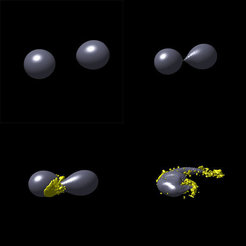 Various stages of the merger of two neutron stars; the sequence of images covers a period of about one hundredths of a second. Once the stars collide material is squeezed out between the stars and gets stripped off from tidal tails. In the material ejected a multitude of nuclear reactions take place producing heavy elements.