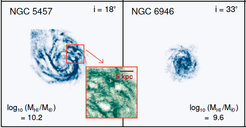 Abb. 1: Beobachtete Verteilung des atomaren Wasserstoffes (blau) in der nahen Galaxie M74. Ausserdem zeigt das Bild alte Sterne (rot) und UV-Licht von neugeborenen Sternen (lila), die beide stärker zum Galaxienzentrum hin konzentriert sind als der atomare Wasserstoff. Der grüne Balken zeigt eine Länge von 15 000 Lichtjahren.