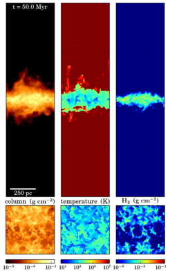 Fig 1: Density (left), temperature (middle) and molecular gas distribution (right) in a simulation with supernovae exploding in dense regions. The upper, vertically extended, panels show the edge-on view with the disk in the mid-plane. In the lower panel we show the disk plane seen from above (face-on). The disk is compact, most of the gas is warm and diffuse and no outflows are launched. This is an unrealistic model for the observed multi-phase gas structure in real galaxies.