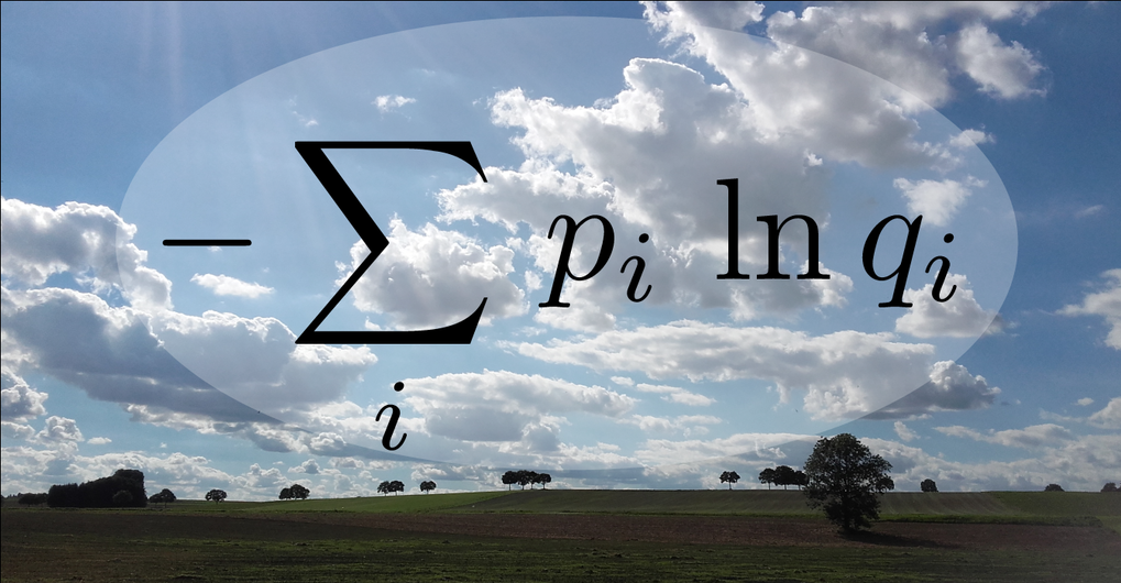 The formula for the expected embarrassment of a prediction. The various possible events are labelled by i. For the weather forecast this could represent the possibilities "rain", "sunshine", etc. The original probabilities of these events are pi. The probabilities communicated in the prediction are qi. In case of simplification, these should be chosen in a way that the expected embarrassment is minimised. Ideally, the communicated probabilities are identical to the original probabilities, but often they are simplified or rounded. The concept of the embarrassment expected is closely related to the information concept of information theory, and clarifies how this should be used in the case of probability approximation.