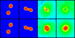The upper and lower series of pictures each show a simulation of a neutron star merger. In the scenario displayed in the upper panels the star collapses after the merger and forms a black hole, whereas the scenario displayed in the lower row leads to an at least temporarily stable star.