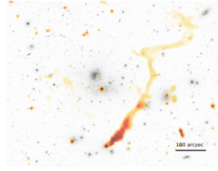 The image shows galaxy cluster Abell 1314. In shades of grey, a piece of the sky can be seen as we know it in visible light. The orange hues show the radio emitting radiation in the same part of the sky. The radio image looks completely different and changes our assumptions about how galaxies arise and develop.