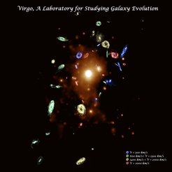 Der VIVA-Survey (VLA Imaging of Virgo in Atomic Gas) untersucht 48 Spiral- oder Spiral-ähnliche sowie fünf irreguläre Galaxien. Diese 53 Systeme decken einen breiten Massenbereich ab und befinden sich im gesamten Haufen, vom dichten Kern bis zu den äußeren Bereichen mit niedriger Dichte. Sie umfassen eine Reihe von Eigenschaften in Bezug auf die Sternentstehung. In der Studie sind zudem die besten Kandidaten für starke Staudruckwechselwirkungen enthalten.