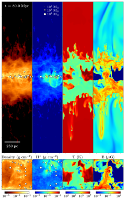 Abb. 1: Edge-On-Ansicht (oben) und Frontalansicht (unten) der Säulendichte von Gas und ionisiertem Wasserstoff, sowie von Temperatur- und Magnetfeldschnitten durch die Mitte der Simulationsbox. Das sternbildende galaktische ISM ist in der Mittelebene konzentriert. Die weißen Kreise zeigen Sternhaufen mit unterschiedlichen Massen an. Stellares Feedback erzeugt eine realistische, strukturierte und turbulente mehrphasige ISM.