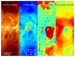 Abb. 4: Schematische Edge-On-Ansicht einer Testsimulation für das neue SuperSILCC-Projekt. Hier laufen Runaway O-Stars (kleine weiße Kreise) lange Entfernungen von ihren Entstehungs-Sternhaufen (große weiße Kreise) weg, bevor sie als Supernovae explodieren.