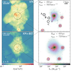 Fig. 2 shows the distribution of hot gas in a region hundreds of thousands of light years across around the massive galaxy, in the simulation without stellar radiation (top) and with stellar radiation (bottom). The right-hand panel of Fig. 2 zooms-in on the massive galaxy itself, showing the distribution of stars within the central regions. Here again we can see the effects of stellar radiation, which appears to not only result in a larger, more `puffed-up’ galaxy (bottom) but also in a smaller number of stellar clumps around the galaxy.