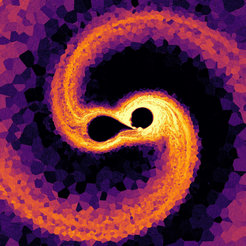 The simulation shown here marks the birth of a magnetic star such as Tau Scorpii. The image is a cut through the orbital plane where the colouring indicates the strength of the magnetic field and the hatching represents its field lines.