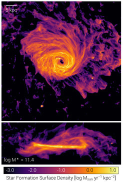 Die IllustrisTNG-Simulation enthält Galaxien, die in Größe und Form den realen Galaxien stark ähneln. Dieses Bild zeigt die Sternentstehungsrate für eine dieser Galaxien in einer Aufsicht (oben) und seitlichen Ansicht (unten). Das TNG-Modell erfasst eine der wichtigsten Phasen in der Entwicklung einer Galaxie, wenn die Sternentstehung zum Erliegen kommt. Dadurch verschiebt sich das Licht, das von den Sternen einer Galaxie ausgestrahlt wird, auf längere, rötere Wellenlängen – in guter Übereinstimmung mit Beobachtungen.