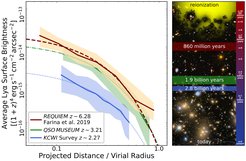 In the past years, several studies showed that quasars at the so-called cosmic noon (2-3 billion years after the Big Bang) are embedded in large Ly-Alpha nebulae. This plot illustrates how the average Ly-Alpha emission becomes fainter with increasing distance from the center of the dark matter halo where these quasars reside. The three different colors correspond to studies at different cosmic times. Surprisingly, while the shape of this drop remains similar, the earliest supermassive black holes (this study, red) appears to be surrounded by larger gas masses.
