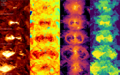 Outflow of gas from a galaxy. From top to bottom, each row represents a different snapshot, spanning 370 million years of cosmic evolution. The outflow is driven by energy set free near the active supermassive black hole in the galaxy’s center. From left to right, the columns show false-color representations of the velocity, temperature, density and heavy element content of the galaxy. The galaxy itself is the cold (blue, second column from left) and dense (yellow, third column) disk of star-forming gas visible as a small, vertical structure in the center of each image.