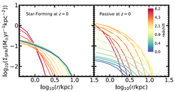 Fig. 2: The two plots show the star-formation-rate density with respect to the distance from a galaxy centre for star-forming galaxies similar to our Milky Way (left panel) and more massive, passive galaxies (right panel). The colour indicates model galaxies in L-GALAXIES 2020, from redshift 8.2 (~13.2 billion years ago, red lines) down to redshift 0 (the present day, blue lines).
Over time, the density of star formation decreases in the centre and increases at edges of the Milky-Way-like galaxies. This is known as 'inside-out growth'. The more massive galaxies exhibit a similar evolution to Milky Ways at first; however, by redshift ~2 their overall star formation starts to decrease greatly, due to the onset of supermassive black hole feedback.