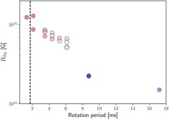 Abbildung 2: Stärke der Dipolkomponente des Magnetfeldes als Funktion der Rotationsperiode. Die vertikale gestrichelte Linie entspricht der Rotationsperiode, bei der Zentrifugalkräfte den neugeborenen Neutronenstern zerstören würden. Die blauen Kreise markieren eine normale Verstärkung des Magnetfeldes, wenn der Neutronenstern langsam rotiert. Die roten Kreise entsprechen dem starken Dynamoeffekt, der bei sehr schneller Rotation auftritt. Das Magnetfeld, das unter solchen Bedingungen erzeugt wird, besitzt genau die Eigenschaften, um Magnetare in unserer Galaxie zu verstehen, und auch zu erklären, welche Vorgänge die Energie für die gewaltigsten Sternexplosionen liefern.