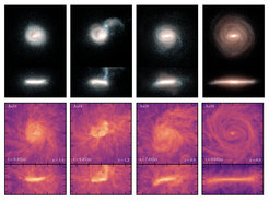 Abb. 1: Sternenlicht (obere Bilder) und Gasdichte (untere Bilder) einer simulierten, Milchstraßen-ähnlichen Galaxie unmittelbar vor (erstes Bild), während (zweites Bild), unmittelbar nach (drittes Bild) der Gaia-Enceladus-Verschmelzung und zum heutigen Tag (viertes Bild). Die Satellitengalaxie bringt eine große Menge Gas mit sich, das einen Ausbruch an Sternentstehung entlang einer Gasbrücke anregt, die sie mit der Milchstraße verbindet.