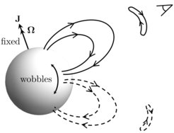 Bei einem Magnetar mit Präzession oszilliert die Richtung, in der er Ausbrüche aussendet, mit der Zeit. Die beobachtete FRB-Aktivität wird mit der Präzessionsperiode moduliert.