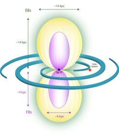 Schematic view of the eROSITA (yellow) and Fermi bubbles (purple). The galactic disk is indicated with its spiral arms and the location of the Solar System is marked. The eROSITA bubbles are considerably larger than the Fermi bubbles, indicating that these structures are comparable in size to the whole galaxy.