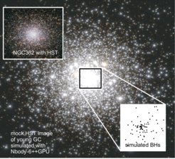 Fig. 1. Mock HST observation of a simulated young and compact star cluster (large image), which contains a subsystem of stellar mass black holes in its core region (inset on the lower right). This region is dense enough for collisions and mergers between stars and black holes. Such systems could be the progenitors of globular clusters systems like the star cluster NGC 362 shown in the upper left corner.