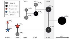 Fig. 3 Simulated formation path of a “mass gap” black hole merger of two black holes with 70 and 68 solar masses. The more massive BH (top) grows by two preceding BH mergers. The lower mass BH (bottom) builds up in a stellar collision of a red giant with a main sequence star followed by the merger with a stellar mass BH. The masses of the components (in solar masses) are indicated at the respective times of the merger (black horizontal lines) after the start of the simulation.