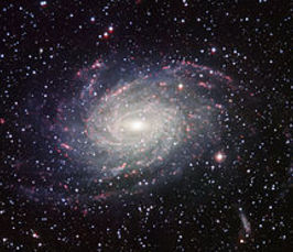 Studying the best exoplanets in our front-yard: Gas giant exoplanets and their climates