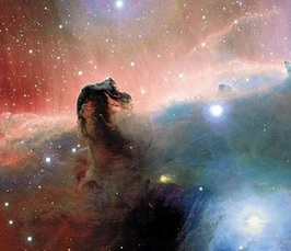 "Formation and Evolution of Giant  Molecular Clouds: Gravity or Turbulence"