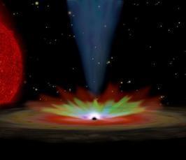 Tidal Disruption Events: Probes of Accretion Physics and Black Hole Demographics Tidal Disruption Events: Probes of Accretion Physics and Black Hole Demographics